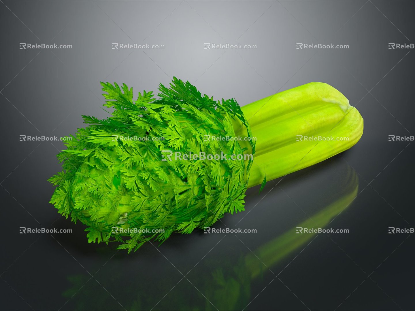 Modern celery celery vegetables fruits vegetables 3d model