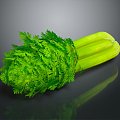 Modern celery celery vegetables fruits vegetables 3d model