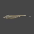 Stingray Swimming In Dark Underwater Environment With Flat Body And Long Tail