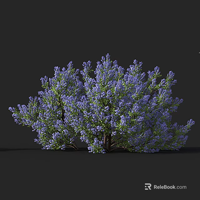 Vibrant Purple Flowering Shrub With Lush Green Leaves And Dense Foliage 3d model 