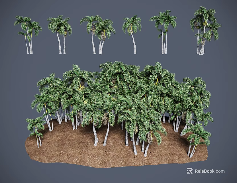 Diverse Palm Trees Featuring White Trunks Green Fronds Growing On Brown Soil 3d model