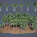 Diverse Palm Trees Featuring White Trunks Green Fronds Growing On Brown Soil 3d model