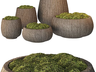 Natural Wooden Garden Decor Planters With Green Moss Foliage Various Sizes For Outdoor Landscaping 3d model