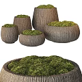 Natural Wooden Garden Decor Planters With Green Moss Foliage Various Sizes For Outdoor Landscaping