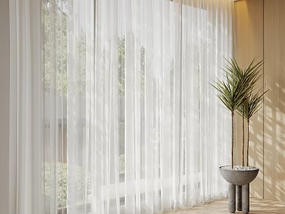 White Sheer Curtains In Modern Indoor Space With Natural Light And Palm Plant 3d model