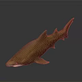 Realistic Brown Spotted Shark 3D Model With Detailed Design And Dark Background Reflection
