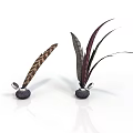 Feather Shaped Home Living Accessories With Round Base And Textured Plumes