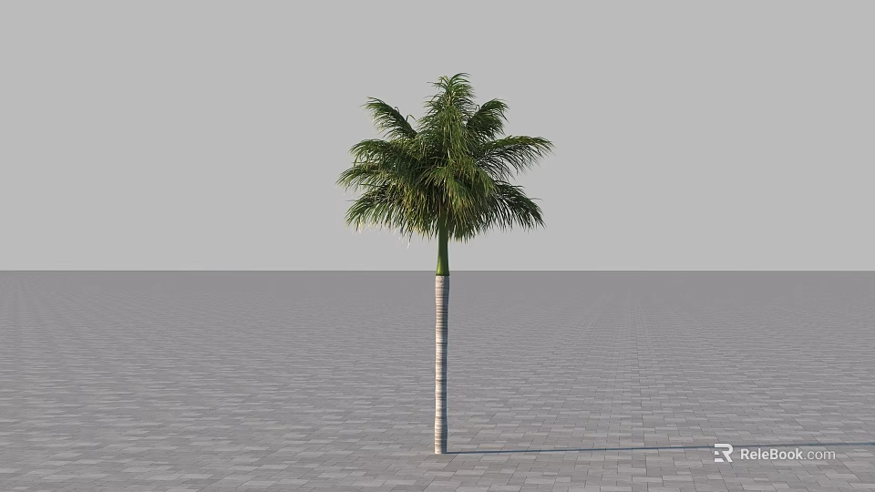 Tall Palm Tree Standing Alone On Gray Paved Ground With Gray Sky Background 3d model
