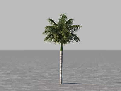 Modern Coconut Tree 3d model Modern Coconut Tree 3d model