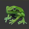 Shiny Green Frog With Glossy Skin On Black Background And Reflection 3d model