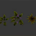 Three Different Plants With Purple Flowers Green Leaves On Gray Background With Reflections