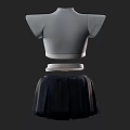 Gray High Neck Short Sleeved Cropped Top with Black Pleated Skirt Belt and Arm Sleeves