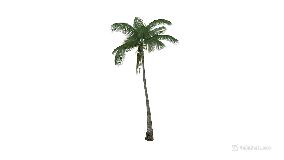 Tall Healthy Palm Tree With Slender Trunk And Lush Green Fronds 3d model 