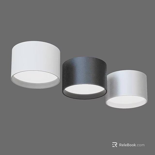 Modern LED Downlights With White Black Silver Cylindrical Design For Indoor Lighting 3d model 