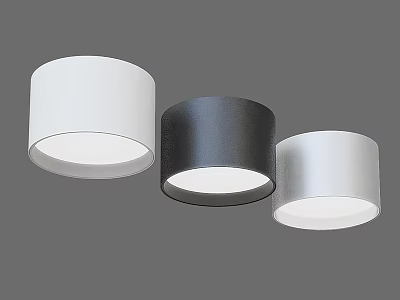 Modern LED Downlights With White Black Silver Cylindrical Design For Indoor Lighting 3d model