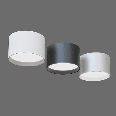 Minimalist Downlight Spotlight Downlight Spotlight Minimalist Downlight Decorative Downlight 3d model