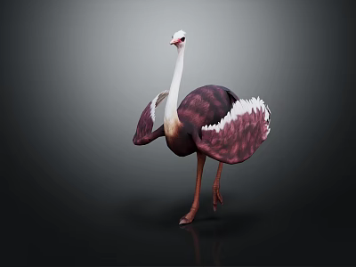 Colorful Ostrich With Purple And White Plumage Spreading Wings On Dark Background 3d model