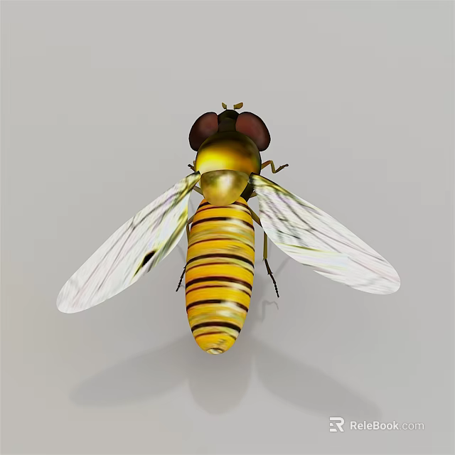 Flying Insect With Yellow Striped Body Transparent Wings And Black Eyes 3d model 