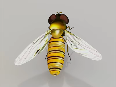 Flying Insect With Yellow Striped Body Transparent Wings And Black Eyes 3d model