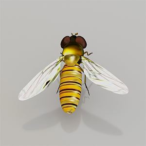 Modern Trichogramma 3d model