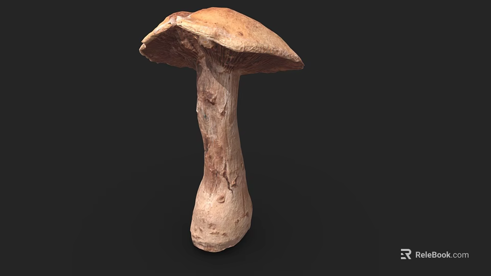 Fresh Brown Mushroom Vegetable With Natural Stem And Cap Texture For Cooking 3d model