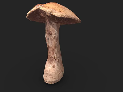 Fresh Brown Mushroom Vegetable With Natural Stem And Cap Texture For Cooking 3d model