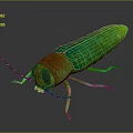 Realistic Green Insect 3D Model Featuring Orange Body Large Eyes Antennae And Long Legs