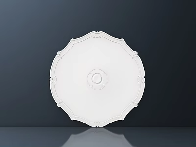Elegant Intricate White Round Carved Ceiling Medallion with Ornate Edges Decorative Design 3d model
