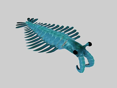 Blue Shrimp Like Aquatic Animal With Long Body Multiple Fins Large Eyes And Big Pincers 3d model