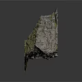 Natural Wood Stone With Green Moss Covered Surface And Rough Texture