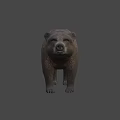 Realistic Brown Bear Game Character 3D Model With Detailed Fur Texture 3d model