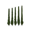 Decorative Plant Arrangement Featuring Tall Green Columnar Trees Lush Plant Wall With Human Silhouette