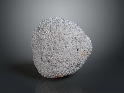 Natural White Stone With Intricate Textured Surface And Unique Irregular Shape Design 3d model
