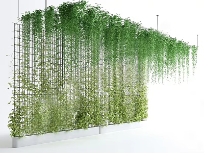 Green Plant Wall Design With Metal Grid Structure And Hanging Greenery Indoor Decor 3d model