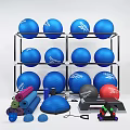 Fitness Equipment With Reebok Exercise Balls Storage Rack Yoga Mats And Heart Rate Monitor