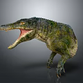 Modern Crocodile Alligator Nile Alligator Lizard 3d model