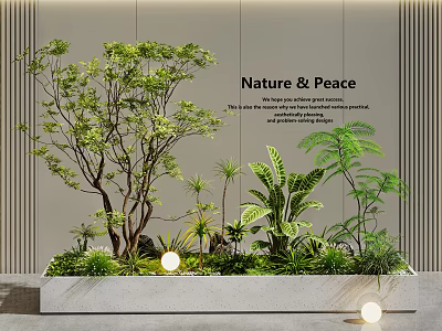 Indoor Landscape With Various Green Plants Nature And Peace Theme Modern Wall And Lighting 3d model