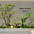 Indoor Landscape With Various Green Plants Nature And Peace Theme Modern Wall And Lighting