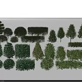 Diverse Assortment of Garden Shrubs with Various Shapes and Lush Green Foliage