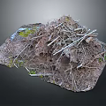 Realistic Natural Scene Component With Twigs Soil And Green Moss
