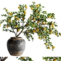 Vibrant Lemon Bonsai Potted Plant With Green Leaves And Yellow Lemons In Dark Ceramic Pot