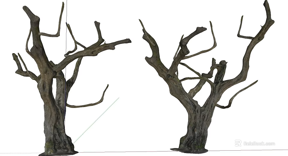 Leafless Trees With Twisted Branches And Thick Trunks Displaying Bark Texture 3d model 