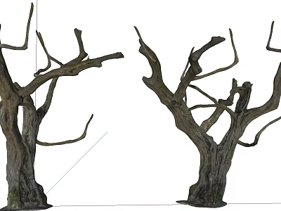 Leafless Trees With Twisted Branches And Thick Trunks Displaying Bark Texture 3d model