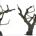 Leafless Trees With Twisted Branches And Thick Trunks Displaying Bark Texture 3d model