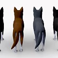 Four Different Colored Husky Dogs Standing In A Row With Friendly Expressions