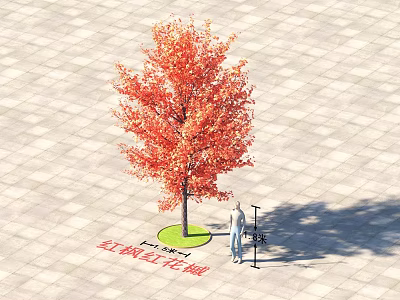 Vibrant Red Leaf Arbor 5 Meters Tall with Lush Foliage on Paved Ground 3d model