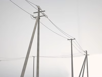 Tall Utility Poles With Power Lines Stretching Across Overcast Sky 3d model