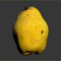 Fresh Yellow Pear With Brown Spots On Dark Shiny Background