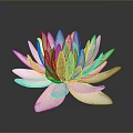 Elegant Light Pink Lotus Flower With Delicate Creamy Petals And Dark Background Reflection