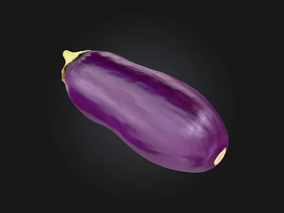 Fresh Whole Purple Eggplant with Glossy Skin on Black Background 3d model
